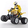 RoXster Quad 1/18th Bike Conversion