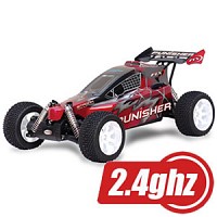 FTX&nbsp;Punisher Plus RTR 1/5th Scale Buggy with 2.4GHz - Red