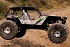 Axial&nbsp;Wraith RTR 1/10th Scale Electric 4WD Rock Racer