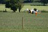 FMS&nbsp;WWII P-47 Thunderbolt 1400 Series Electric ARTF Aircraft with Retract Landing Gear