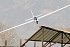 FMS&nbsp;Fox Glider ARTF w/o TX/RX