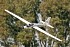 FMS&nbsp;Fox Glider ARTF w/o TX/RX