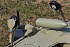 FMS&nbsp;Mitsubishi A6M2 Zero 1400 Series ARTF Electric Warbird with Retract Landing Gear & Flaps