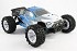 FTX&nbsp;Carnage 1/10 4WD Brushed Truggy RTR  