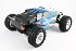 FTX&nbsp;Carnage 1/10 4WD Brushed Truggy RTR  