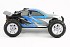 FTX&nbsp;Carnage 1/10 4WD Brushed Truggy RTR  
