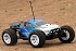 FTX&nbsp;Carnage 1/10 4WD Brushed Truggy RTR  