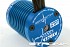 FTX&nbsp;Carnage 1/10 4WD Brushless Truggy RTR  