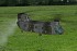 RealityCraft&nbsp;RC Heli Master Flight Simulator