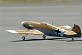 FMS&nbsp;Mini BF-109 Messerschmitt 800 Series RTF Electric Warbird w/o TX/RX