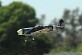 FMS&nbsp;Mini Spitfire Mk9 800 Series ARTF Electric Warbird w/o TX/RX