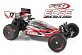FTX&nbsp;Edge 1/10th Brushless RTR 2WD Electric Buggy