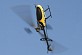 Top Gun Pro Heli&nbsp;Rapier 450 RTF 6 Channel 3D Helicopter with 2.4ghz Radio System