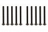 ASSOCIATED CR12 SCREWS M2.5x 25MM BHCS