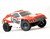 TEAM ASSOCIATED PRO2 DK10SW DAKAR 1/10 BUGGY RTR RED/WHITE