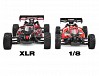 CORALLY ASUGA XLR 6S BRUSHLESS BUGGY RTR - BLUE