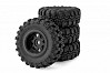 ELEMENT RC ENDURO24 TRAILRUNNER TRAIL TRUCK RTR