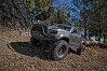 ELEMENT RC ENDURO TRAIL TRUCK KNIGHTRUNNER RTR