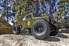 ELEMENT RC ENDURO ECTO TRAIL TRUCK RTR - GREEN