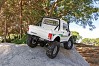 ELEMENT RC ENDURO BUSHIDO TRAIL TRUCK RTR