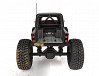 ELEMENT RC ENDURO ECTO TRAIL TRUCK RTR - BLACK