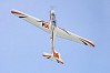 FMS 3000MM FOX GLIDER ARTF w/o TX/RX/BATT (XT90 PLUG)