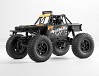 FMS FCX24 1/24TH LEMUR SCALER RTR - ORANGE