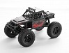 FMS FCX24 1/24TH LEMUR SCALER RTR - RED