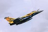 FMS RAFALE 80MM EDF PNP (NO REFLEX)