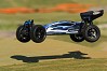 FTX VANTAGE 1/10 BRUSHLESS BUGGY 4WD RTR W/LIPO & CHARGER