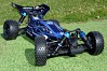 FTX VANTAGE 1/10 BRUSHLESS BUGGY 4WD RTR W/LIPO & CHARGER