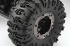 FTX RAVINE 1:10 RTR M.O.A. ROCK BUGGY CRAWLER