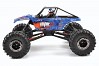 FTX RAVINE 1:10 RTR M.O.A. ROCK BUGGY CRAWLER