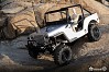 GMADE 1/10 GS01 SAWBACK 4LS SCALE CRAWLER KIT