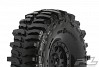 PROLINE INTERCO BOGGER 1.9