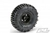 PROLINE INTERCO BOGGER 1.9