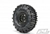 PROLINE INTERCO BOGGER 1.9