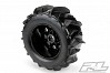 PROLINE DUMONT 3.8