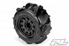 PROLINE DUMONT 3.8