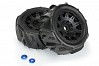 PROLINE DUMONT PADDLE SAND/SNOW ON 5.7