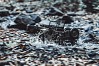 ROC HOBBY 1/6TH MILITARY SCALER RTR