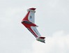 XFLY EAGLE 40mm EDF FLYING WING WITHOUT TX/RX/BATTERY WITH GYRO - RED