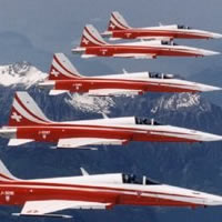 New - FMS F-5E Tiger EDF Jet