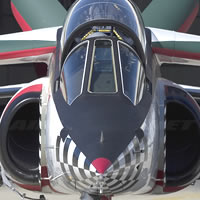 New - FMS Alpha Jet EDF Jet