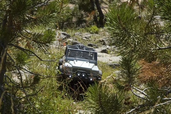 Axial Racing&nbsp;SCX10 - TR (Trail Ready) RTR 1/10th Scale Electric 4WD Rock Crawler