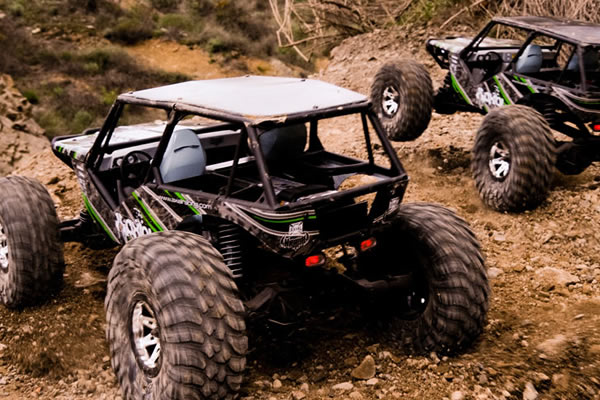 Axial Wraith RTR 1/10th Scale Electric 4WD Rock Racer