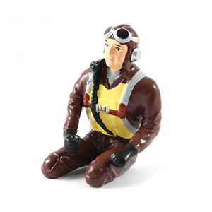 WWII Pilot