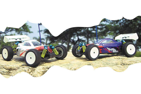 FTX&nbsp;Blaze Mini-Cross 1/18th 4WD Buggy