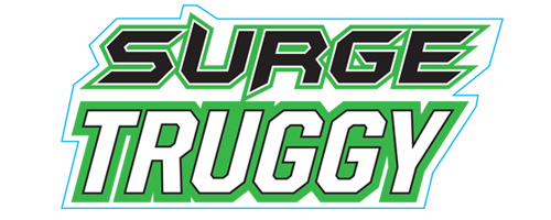 FTX SURGE 1/12 BRUSHED TRUGGY READY-RO-RUN (GREEN) FTX SURGE 1/12 BRUSHED TRUGGY READY-RO-RUN (GREEN)