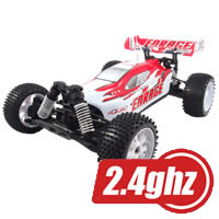 Enrage RTR 1/10th Scale 4WD Electric Supersize Brushed Buggy with 2.4ghz Radio System
